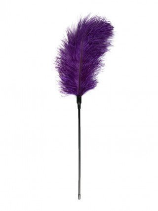 Purpurinis plunksnos botagas „Feather Tickler“