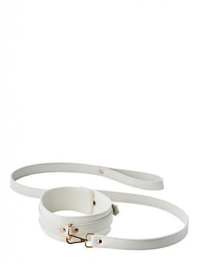 Antkaklio ir pavadėlio rinkinys „Elite Collar & Leash“